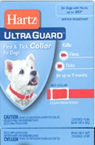 Collar antipulgas 2 en 1. Perros chicos adultos