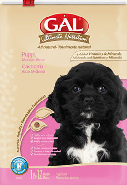 CACHORRO RAZA MEDIANA