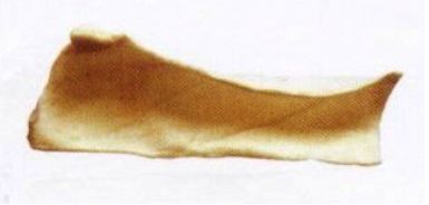 GALLETA GOLDEN
