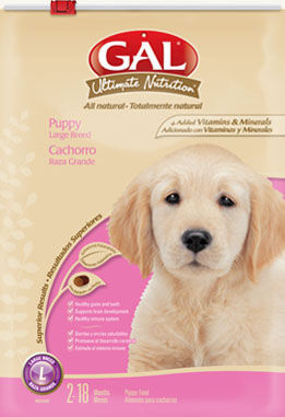 CACHORRO RAZA GRANDE