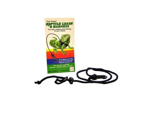 CORREA PARA REPTILES